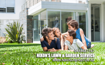 4 Ways You Can Improve Your Lawn | Lawn Care Newcastle
